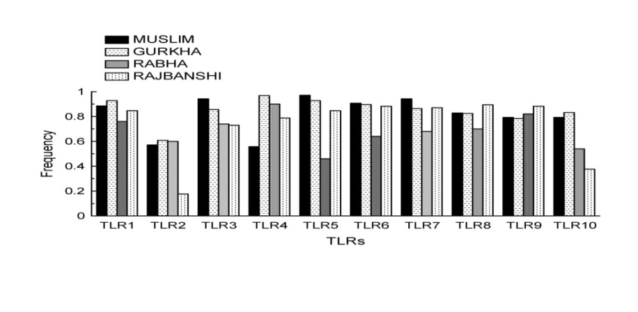 Figure 1: Frequency graph of ten TLR genes of the four populations in the North Bengal region (Kyplot ver-2.0) [25].