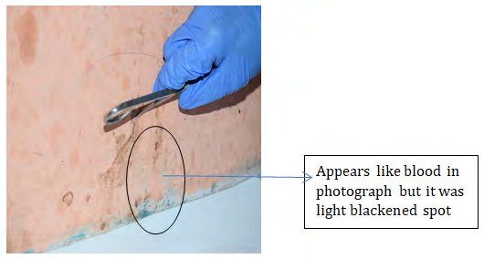 Figure 1: Collection of scrapping from wall.