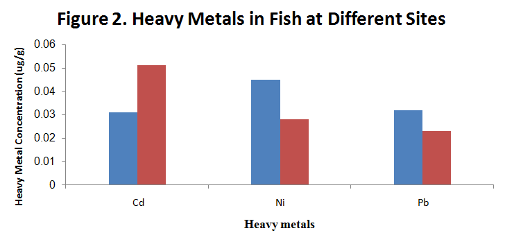 Figure 2: Heavy Metals in Fish at Different Sites