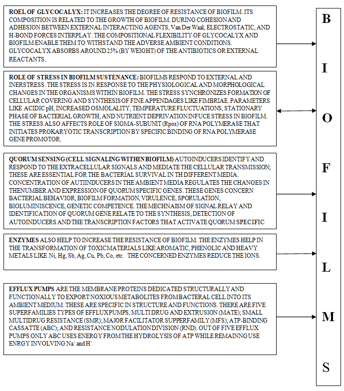 Figure 4: Factors Affecting Interactions between Nanomaterials and Biofilms