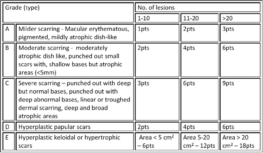 Figure 1: Goodman and Baron quantitative global scarring grading system.