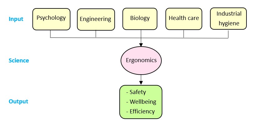 Figure 1: Input and output of ergonomics science.