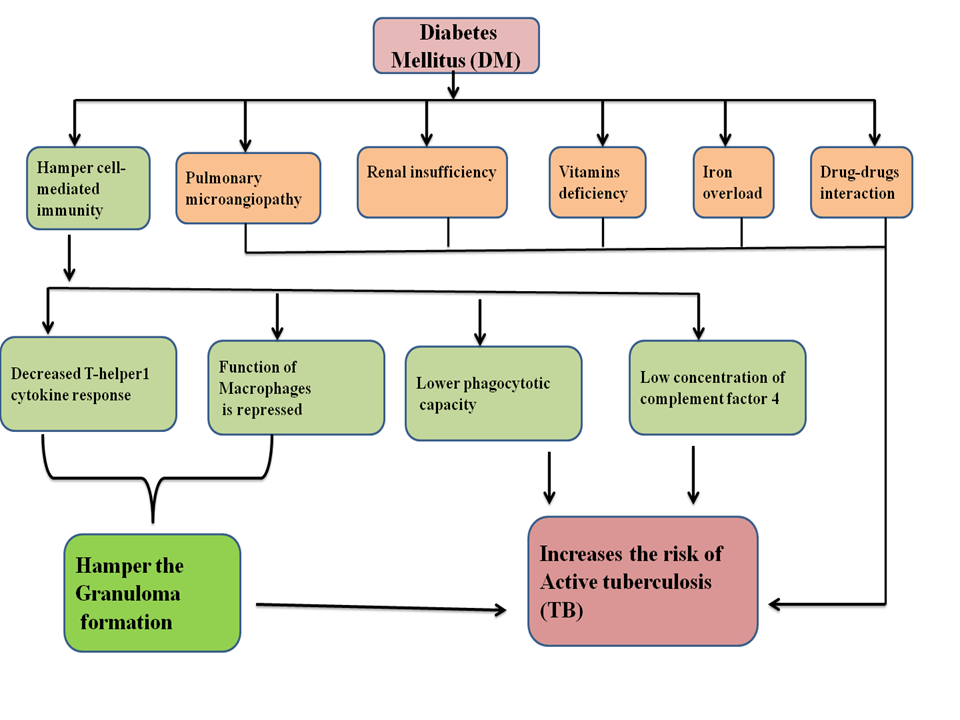 Figure 1: Factors endorsing TB in DM: DM leads to development of latent to active TB having enhanced pathogenicity and compromised immune system. This causes loss in self-defense, pulmonary microangiopathy, renal insufficiency, deficiency of micronutrients and the interaction of anti-TB drug with antidiabetic drugs causing decreased therapeutic index of TB.