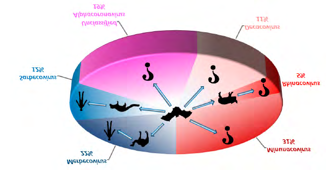 Figure 7: What is the transferred animal of the COVID-19? [13]