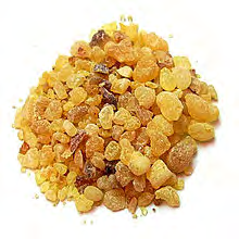 Figure 1: Boswellia.