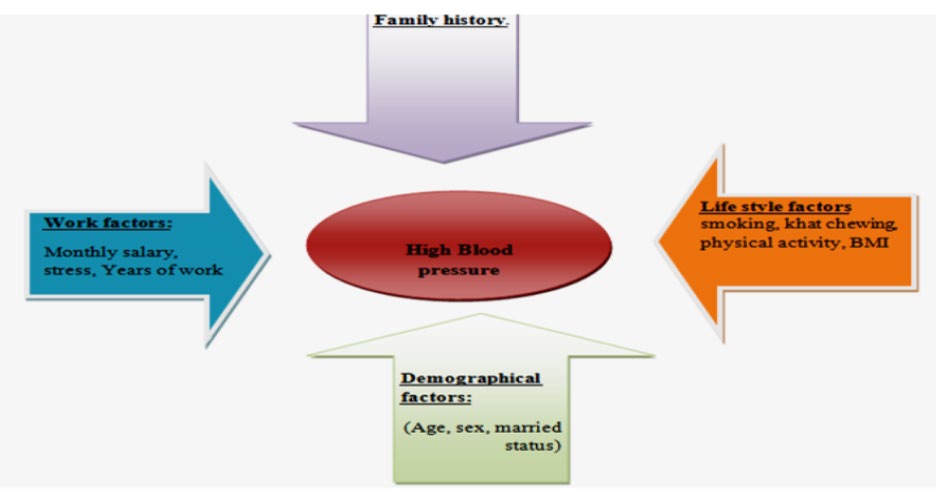 Figure 1: Blood pressure relationship with risk factors.