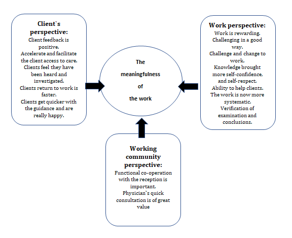 Figure 4: Summarized results about physiotherapists` experiences of their direct access practice.