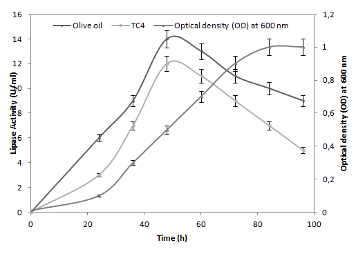 Figure 1: The time courses of lipase production. The culture was carried out at 30°C in shaking at 200rpm in the presence or in the absence of triacylglycerols or esters.