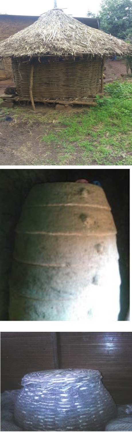 Figure 1: Grain storage structures: plastered gombisa with mud (A) and un-plastered gombisa (B) and Gumbi(C) and (D).