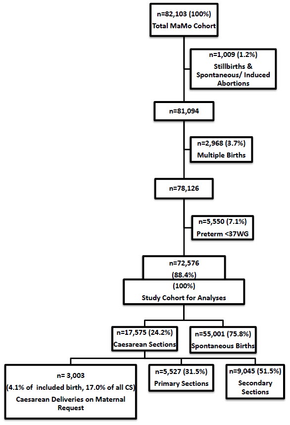 Figure 1: Flowchart MaMo Cohort Description 1990- 2013.