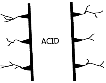 Figure 2: Worm hole production by acid.