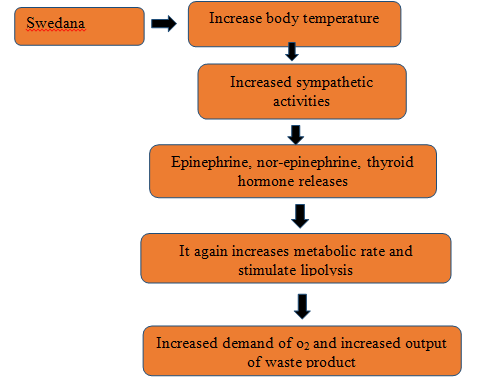 Figure 1: Increased Metabolic Rate.
