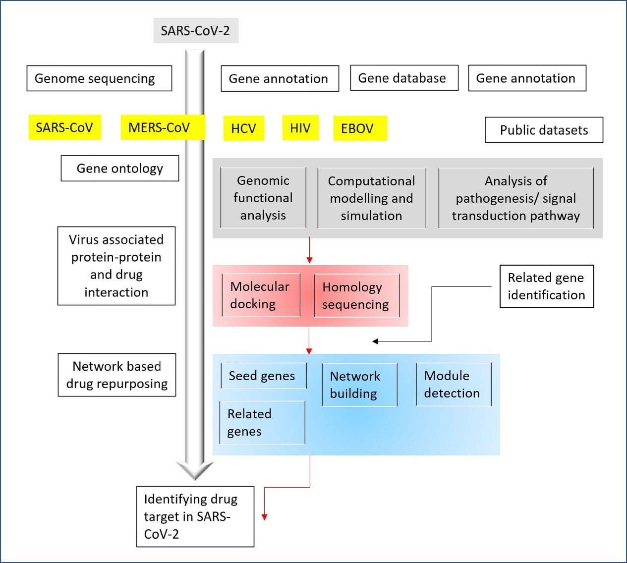 Figure 1: Schematic flow chart of the drug repurposing through in silico study and the identification of the candidate drugs against SARS-CoV-2.