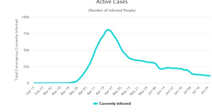 Figure 2: Distribution of Active Cases in Turkey, 25 July 2020. Source: https://www.worldometers.info/coronavirus/country/turkey/