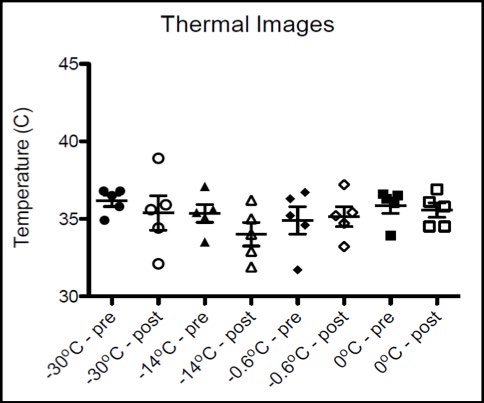 Figure 2: High chest temperatures for each pre- and post- cold exposure sample group with SEM. No significant difference or trends were observed between sample groups.
