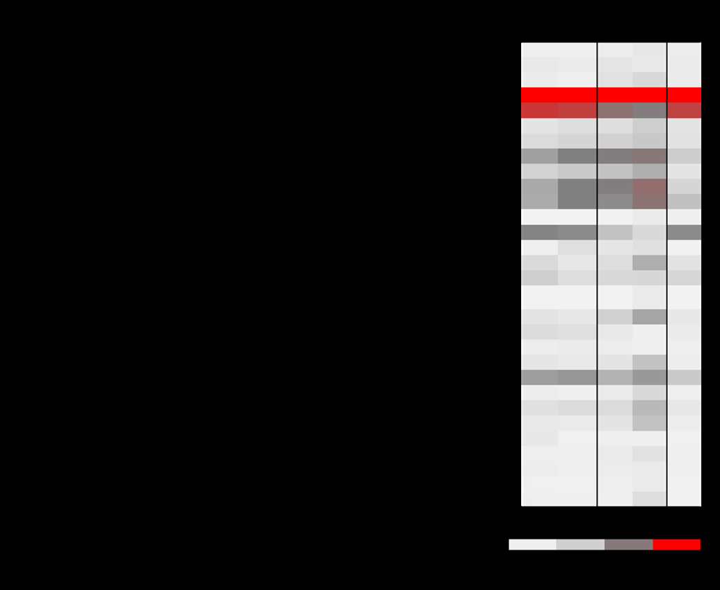 Figure 3: Heatmap of the relative abundance of the major bacterial taxa in the guts of termites fed with birch wood (NEB), fed with PB1000 (NEP), and directly collected from their nest (NEN). Classification is shown down to the family level.