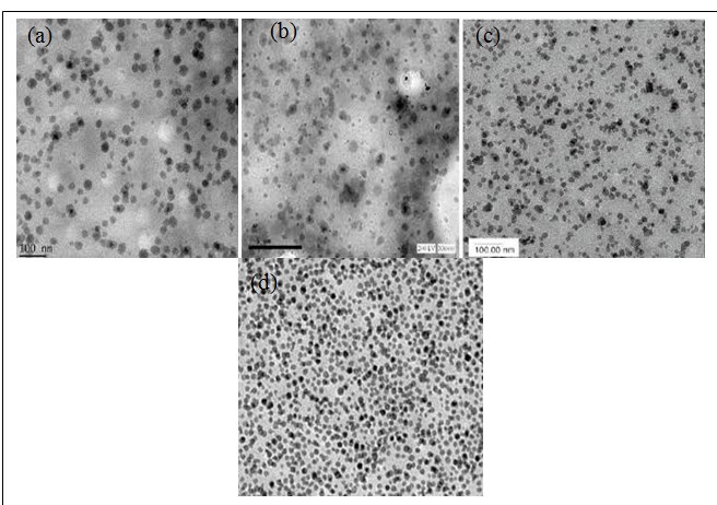 Figure 2: SEM shows morphology of SR-nTiO2 PMNC (a)1%,(b)2%,(c)3%, (d)4% nTiO2.