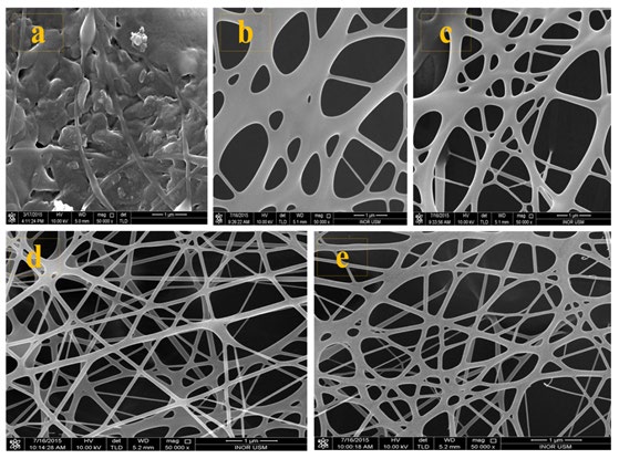 Figure 2: FESEM image for TiO2/PVP at different distance (a) 6 cm, (b) 9 cm, (c) 12 cm, (d) 15 cm, (e) 18 cm.