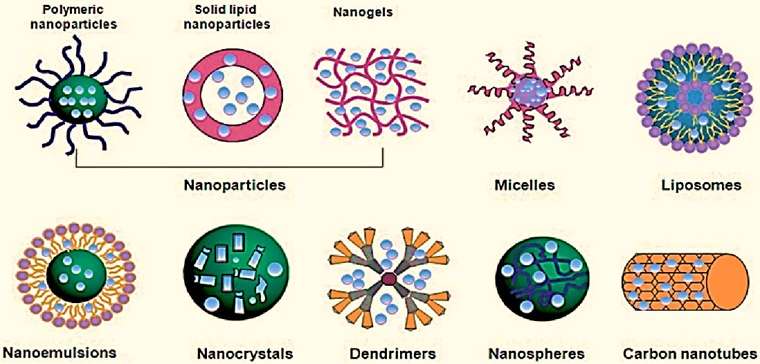 Figure 7: Representation of a targeted drug delivery system through Nano carriers.