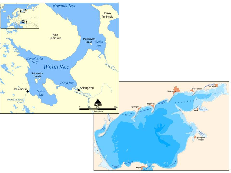 Figure 1: Map of the White and Azov seas. On the inset their location on the map of Europe.