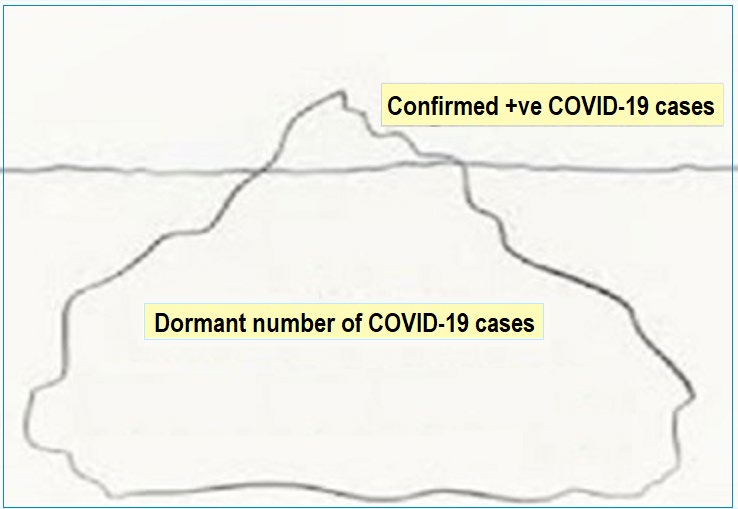 Figure 2: The COVID-19: Epidemiological Iceberg.