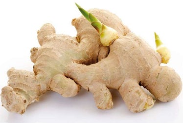 Figure 2: Zingiber officinale.