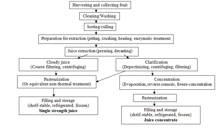 Figure 1: Flow diagram of general fruit juice processing.