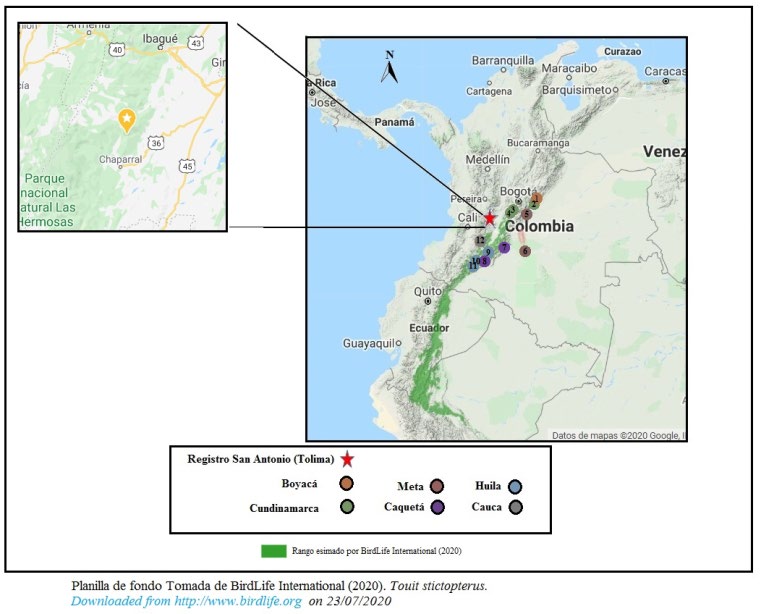 Figure 1: Geographical distribution of Touit stictopterus in Colombia. Registration in San Antonio, Tolima (Red star, see magnification for more detail in upper left box). Boyacá (coffee): 1. Santa María; Cundinamarca (green): 2. Mámbita, 3. Fusagasugá, 4. Pandi; Meta (purple): 5. Serranía Macarena; Caquetá (purple): 6. Cerro La Mica PNN Los Picachos; Huila (blue): 7. Argentina, 8. Garzón and 9. Palestina; Cauca records (gray): 10. San Andrés de Pisimbala. Cubarral Meta The Vereda power plant The Finca Rosania power plant between 712 and 817 m and in the San Miguel farm La Pradera and Belén de los Andaquies, Caquetá mine is 548 m.
