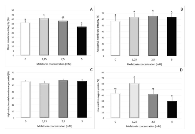 Figure 1: The effect of different melatonin doses (0, 1.25, 2.25, 5 mM) in the sperm cell parameters. (A) in the Plasma Membrane Integrity, (B) Acrossomal Membrane Integrity, (C) Mitocondrial Membrane Potential and (D) Reactive Oxigen Species production. Means denoted by a different letter indicate significant differences between treatments (P<32 0.05).