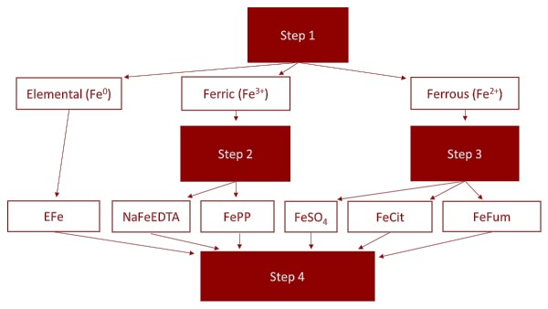 Figure 1: Overview of methods for identification and quantification of iron fortificants in cereal flours. In step 1, the oxidation states (ferrous, ferric, or elemental iron) were identified. In step 2, FePP and NaFeEDTA were identified. In step 3, FeSO4, FeFum, and FeCit were identified. In step 4, iron was quantified. Efe, electrolytic iron; NaFeEDTA, sodium ferric EDTA; FePP, ferric pyrophosphate; FeSO4, ferrous sulfate; FeFum, ferrous fumarate; FeCit, ferrous citrate.