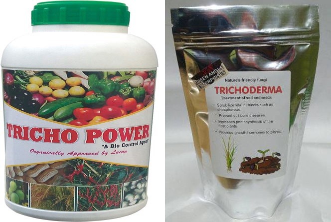 Figure 1: A marketed product of Trichoderma where the name of species and label is not mentioned. Source: Commercial market and in public domain on internet for sale promo.