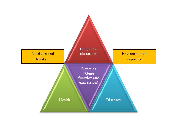 Figure 1: Crosstalk between genetics, epigenetics, nutrition and environment.