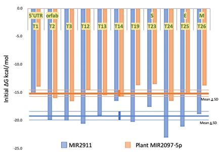 Figure 3: MIR2097-5p binding activities to the SARS-C-V-2 genome. Plant MIR2097-5p has the binding activity to the SARS- CoV-2 genome as T1 in 5’UTR, T2, T3, T12, T13, T14 and T19 in orfab, T23 and T24 in S, T25 in E, T26 in M sites (orange bars). As the control, the binding activities of honeysuckle MIR2911 were also presented (blue bars). The mean + SD of whole binding avidity in MIR2097-5p (orange lines) and MIR2911 (blue lines) was depicted as well.