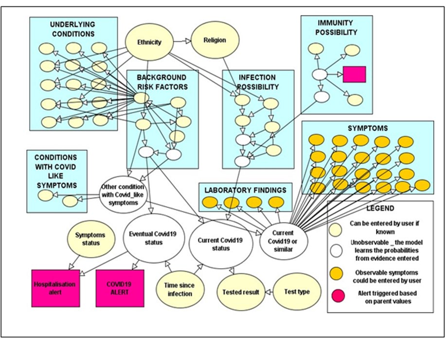 Figure 1: A simplified version of the Bayesian network for COVID-19 risk assessment.