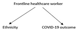 Figure 2: All of these are factors that increase the risk of catching COVID-19 or may lead to a more severe form of the disease. They confound the relationship between ethnicity and COVID-19 outcomes.