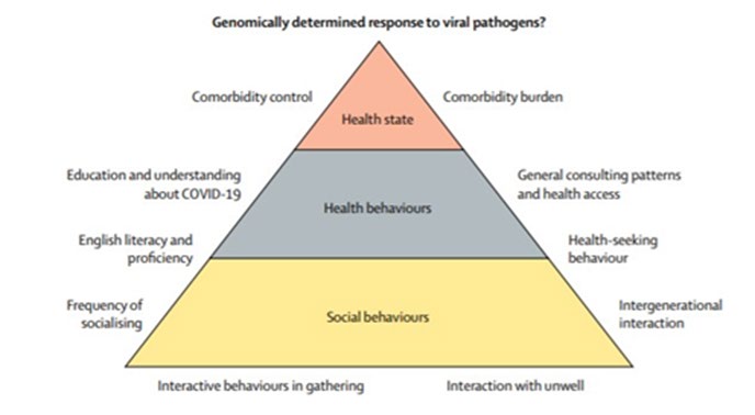 Figure 4: The potential interaction of ethnicity-related factors on SARS-CoV-2 infection likelihood and COVID-19 outcomes [30].