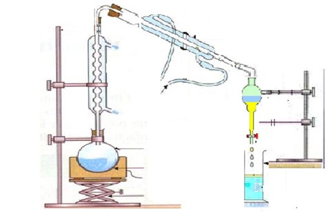 Figure 1: Mounting a Hydrodistillateur.