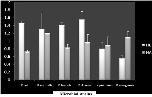 Figure 2: Antimicrobial activity of HE _Origanum majorana_.