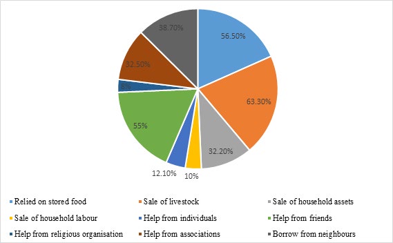 Figure 2: Formal drought coping strategies adopted by households.