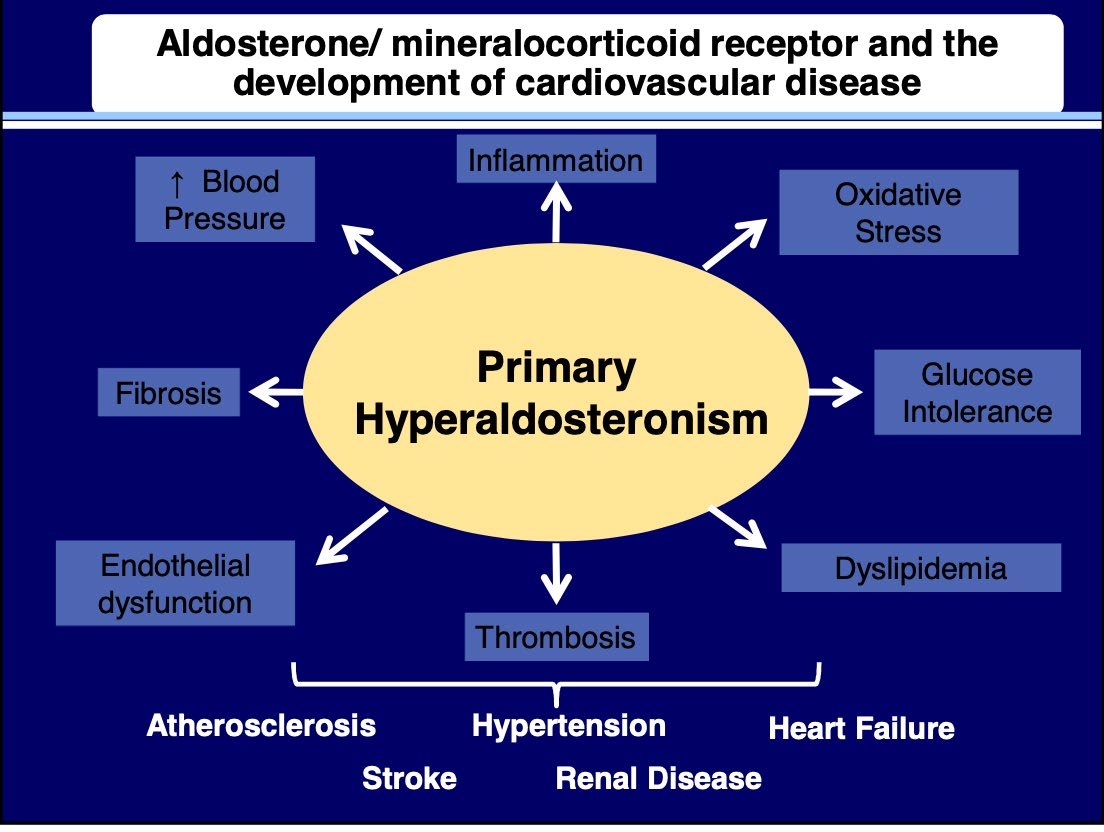 Figure 1: Aldosterone/mineralocorticoid receptor and the development of cardiovascular disease.