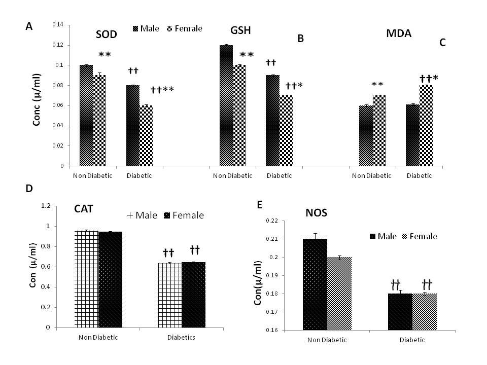 Figure 2: Evaluation of oxidative stress in diabetic and non-diabetic male and female subjects. (A) SOD, (B) GSH, (C) MDA, (D) CAT, (E) NOS. The results are expressed as the mean ± SEM. The results were analyzed by two-way ANOVA followed by LSD (least significant difference) test. The P-value < 0.05 was considered to be statistically significant. The significance of the difference is indicated by *P <0.05, **p<0.01, ***p<0.001 when non-diabetic and diabetic males were compared with respective diabetic and non-diabetic females. And †p<0.05, ††p<0.01, †††p<0.001 when the diabetic group was compared with respective non- diabetic controls