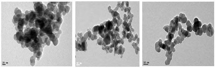 Figure 5: TEM image of as prepared nano-crystalline powder prepared from aqueous precursor solution, (a) 8YSZ, (b) 10 YSZ, (c) 12YSZ.