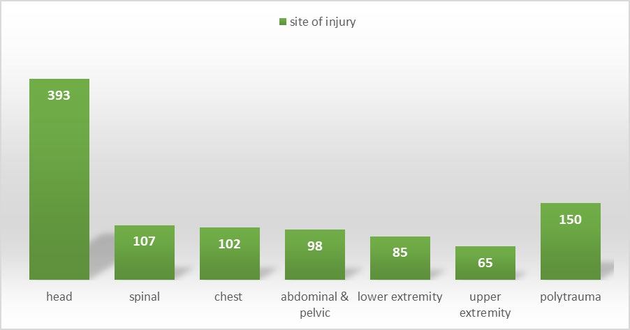 Figure 3: Distribution of victims as per Site of Injury.