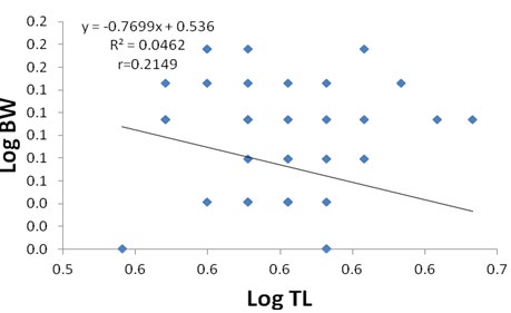 Figure 3: Logarithmic relationship between total length and body weight of male P. americana.