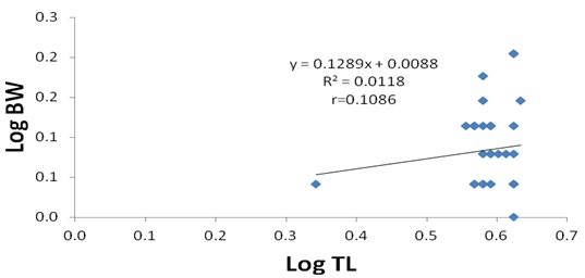 Figure 4: Logarithmic relationship between total length and body weight of female P. americana.