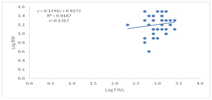 Figure 6: Logarithmic relationship between forewing length and body weight of male P. americana.