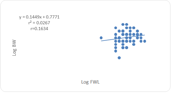 Figure 8: Logarithmic relationship between forewing length and body weight of the total population of P. americana.