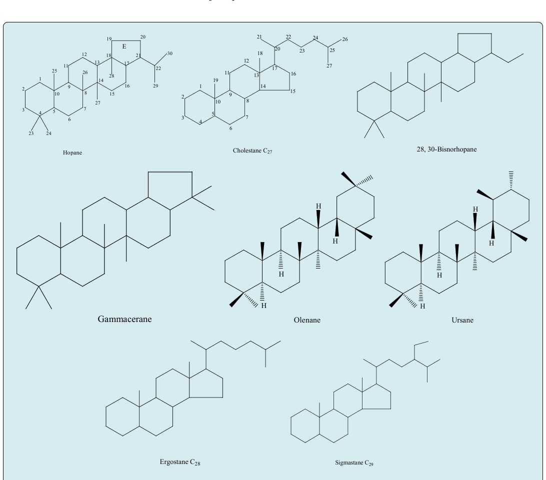 Figure 1: Molecular structures of some biomarkers found in crude oil.