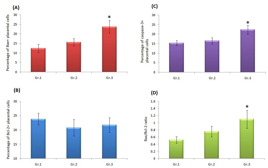 Figure 5: Quantitative expression of Bax, Bcl-2 and caspase-3 positive cells in placenta. (A) Histogram showing the percentage of Bax+ placental cell population, (B) Percentage of Bcl-2+ placental cell population, (C) Percentage of caspase-3+ placental cell population, (D) Bax/Bcl-2 ratio of placental cell population in three different groups. Data represent the mean±SD (n=6). *p< 0.05 when compared to animals of group 1. Gr. 1: control group, Gr. 2: pregnant female rats treated with BTE (50 mg /kg body weight/day, p.o.), Gr.3: pregnant female rats treated with BTE (100 mg /kg body weight/day, p.o.).