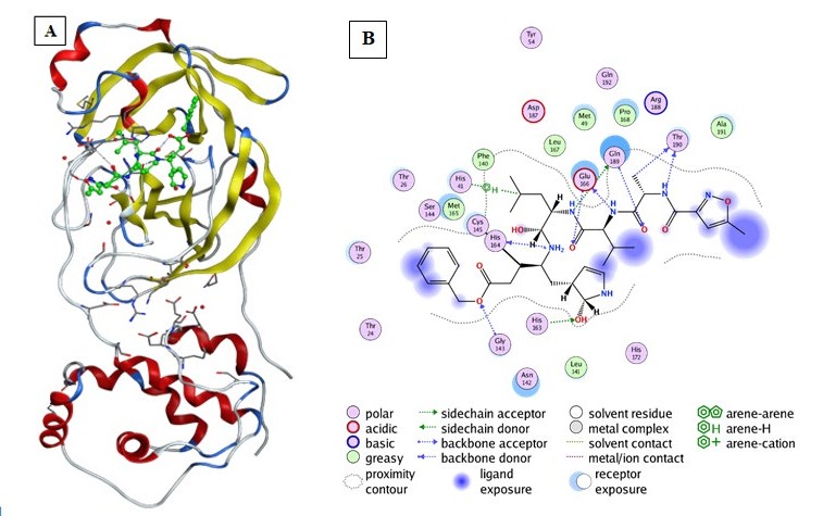 Figure 1: Shows the PDB ID, resolution and description of COVID-19 main protease